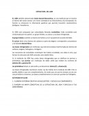 Estructura del adn