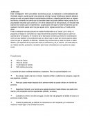 Informe sobre el chocolate a base de cacao ( artesanal)