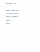 Superficialidad humana