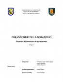 Dinamica de adsorcion de surfactantes