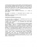 Características nutricionales de las harinas