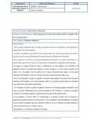 Nombre del juego: Pelota Mano Individual