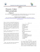 Plantilla IEEE Reportes Física I Primavera