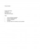 Ensayo acerca de la Identidad