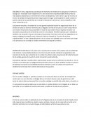 Trabajo de Castellano