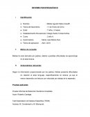 Ejemplo informe psicopedagogico