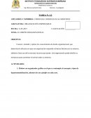 EL DISEÑO ORGANIZACIONAL