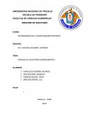 NORMAS DE AUDITORÍA GUBERNAMENTAL