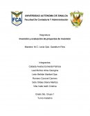 Inversión y evaluación de proyectos de inversión