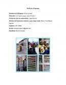 Perfil de empresa Bonice Suyapa