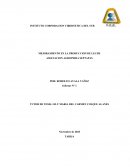 MEJORAMIENTO EN LA PRODUCCION DE LECHE