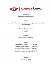 ELEMENTOS EXTERNOS DE UNA ORGANIZACION. Página 1