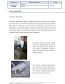 Caso empresa PAN&PICO