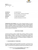 Modelo dictamen pericial