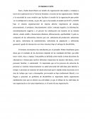 INTRODUCCION modelo de organización