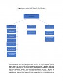 Organigrama actual de la Escuela Dos Mundos