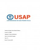 Técnicas de Redacción Tema: Corrección del Lenguaje