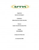 GERENCIA ESTRATEGICA Reparaciones Móviles S.A.