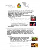 Gastronomia QUINTANA ROO