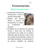 Fermentación quimica