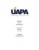 PRACTICA 4 El aprendizaje por competencias