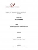 Técnicas de expresión del abogado en el proceso