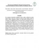 Informe de Tixotropía (Ingeniería de Fluidos)