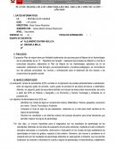 PLAN DE MEJORA DE LOS APRENDIZAJES DEL ÁREA DE COMUNICACIÓN – AÑO 2019