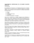 CARACTERÍSTICAS AGROPECUARIAS DE LOS GRANDES CONJUNTOS REGIONALES