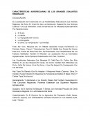 CARACTERÍSTICAS AGROPECUARIAS DE LOS GRANDES CONJUNTOS REGIONALES