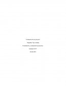 Tarea semana 5 formulacion y evaluacion de proyecto