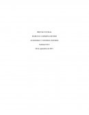 AUDITORIA Y CONTROL INTERNO