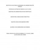 ENSAYO LEYES DEL PODER