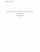 Origen y evolución sociopolítica y económica de la reforma vareliana en Uruguay