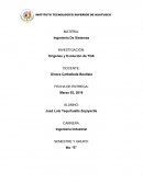 Orígenes y Evolución de TGS