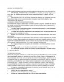 CUANDO DIVERSIFICARSE