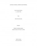 Actividad Informe: plan estratégico