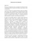 UNA Trabajo Programa de expresion