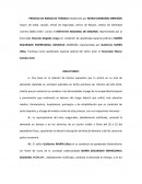 PROCESO DE RIESGO DE TRABAJO