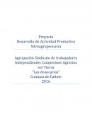 Proyecto Silvoagropecuario Comuna de Cañete