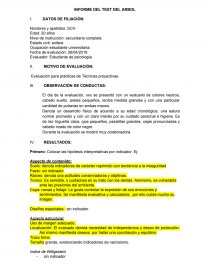 INFORME DEL TEST DEL ARBOL. Página 1