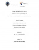 INFORME DE LABORATORIO PRÁCTICA #8 DETERMINACION DE LA FORMULA DE UNA SAL HIDRATADA