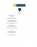 Síntesis "El hombre de las ratas"