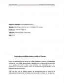 Estereotipos de belleza, cuerpo y moda, en Posadas