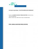 DELITOS ESPECIALES FEDERALES