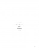 Tarea finanza