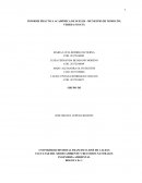 INFORME PRÁCTICA ACADÉMICA DE SUELOS - MUNICIPIO DE NEMOCÓN, VEREDA SUSATÁ