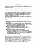 CORRECCION TRABAJO ORIENTACION