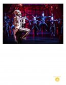 CIRQUE DU SOLEIL Análisis Competitivo