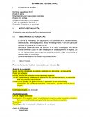 INFORME DEL TEST DEL ARBOL